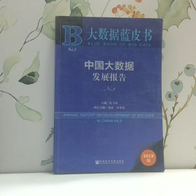 大数据蓝皮书 中国大数据发展报告No 2