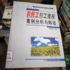 农村常见法律纠纷案例分析与解读丛书：农民工打工维权案例分析与解读