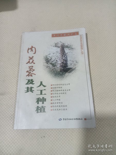 肉苁蓉及其人工种植——农业科技示范成果推广丛书