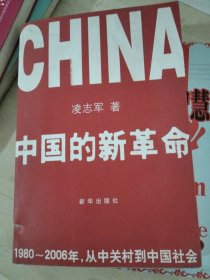 中国的新革命：1980-2006年，从中关村到中国社会