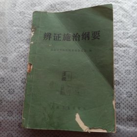 辨证施治纲要