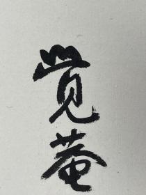 叶胥原   尺寸 138/34 托片
（1898—1992），字仲膴，号觉庵、田田居士。书风婉约遒美，刚中有柔，富有奇险之美，文气馥郁，一扫迟暮之气。