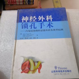 神经外科锁孔手术--内窥镜协助的显微外科及典型病例共227页实拍图为准，精装