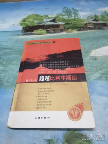 超越比利牛斯山——西南政法大学学子学术文库