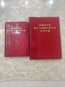 《中国共产党第九，十次全国代表大会文件汇编》