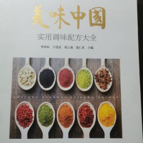 美味中国—实用调味配方大全