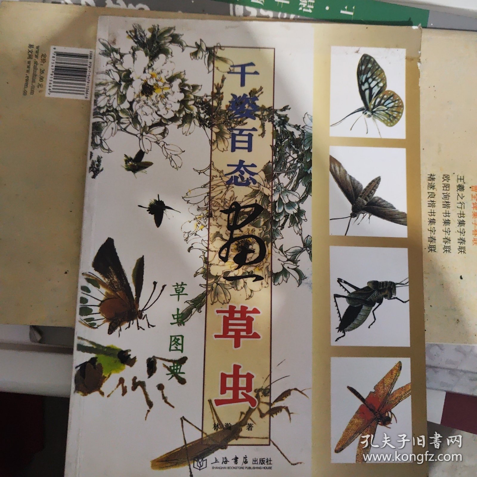 国画训练新编系列：千姿百态画草虫