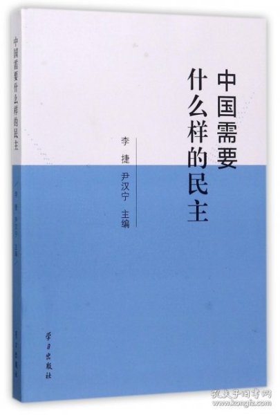 中国需要什么样的民主