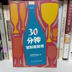 30分钟图解葡萄酒（手绘版）