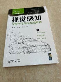 人工智能超入门丛书--视觉感知：深度学习如何知图辨物 ChatGPT聊天机器人入门