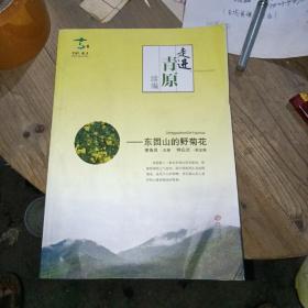 走进青原续编－东固山的野菊花