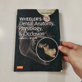 Wheeler's Dental Anatomy, Physiology and Occlusion，Tenth Editiom惠勒牙体解剖学、生理学与牙合学