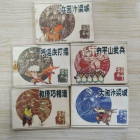 小将呼延庆1一5册全套