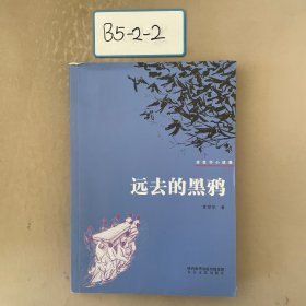 远去的黑鸦 : 苏冠华小说集