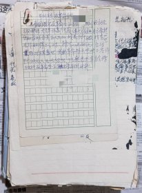 个人历史审查材料:三青团骨干反革命分子李某