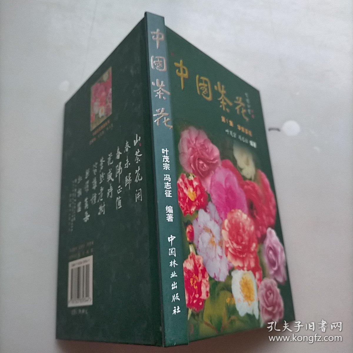 中国茶花：华东茶花（第1集）