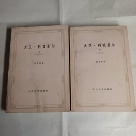 《大卫，科波菲尔》本书是十九世纪英国著名小说家，狄更斯的重要作品，上，下，2册，人民文学出版社出版，9品，