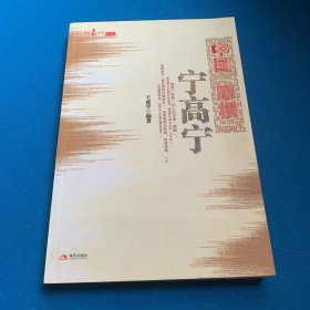 中国“摩根”宁高宁