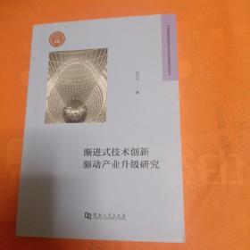 渐进式技术创新驱动产业升级研究