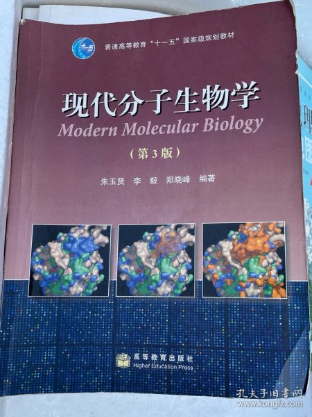 现代分子生物学