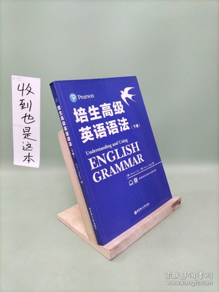 培生高级英语语法上下册（培生经典，原版引进，全球百万级销量，国外名师手把手教你学语法）