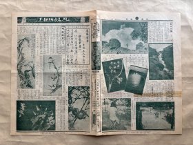 北晨画刊（第10卷第2期）8开4版，道林纸，1936年，汪慎生画花鸟，荣瀚源仿宋人花鸟，明刊本道德经之第一页，南口的龙潭，国产影后胡蝶近影，成达师范学校及其图书馆，名伶武生李万春抵青岛下车留影，青岛票界后起之秀茅远志剧照，陈志浓作漫画民间歌谣，