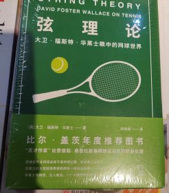 弦理论：大卫·福斯特·华莱士眼中的网球世界（比尔·盖茨年度推荐好书）