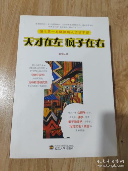 天才在左 疯子在右：国内第一本精神病人访谈手记