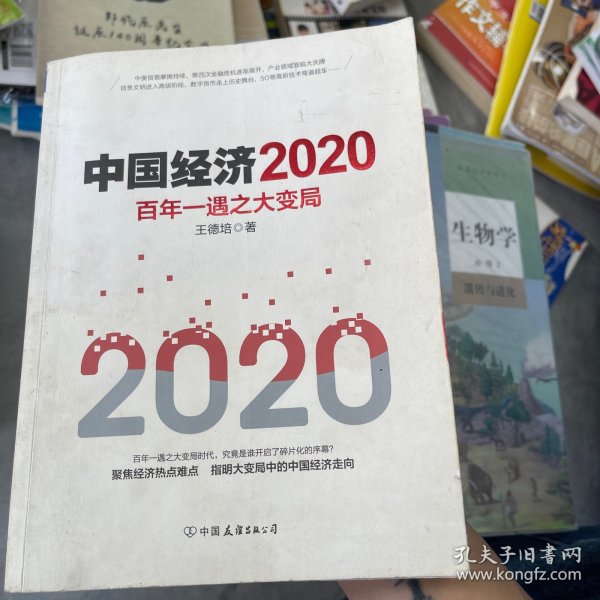 中国经济2020