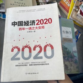 中国经济2020