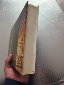 无线与移动All-IP网络/WIRELESS AND MOBILE ALL-IP NETWORKS