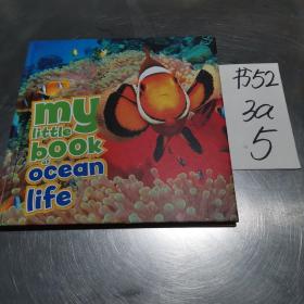 my  little  book of ocean life   sandy Creek