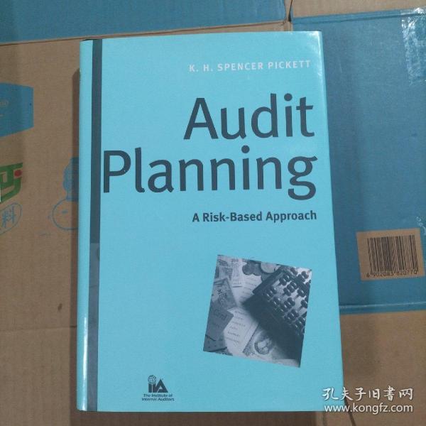 AuditPlanning:ARisk-BasedApproach