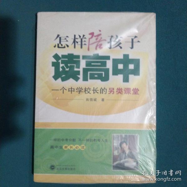 怎样陪孩子读高中：一个中学校长的另类课堂