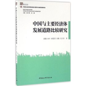 中国与主要经济体发展道路比较研究