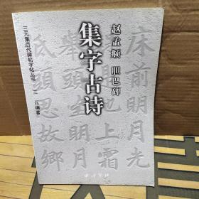 赵孟兆 胆巴碑  集字古诗