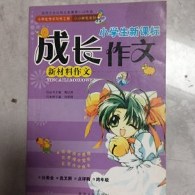 新分类作文