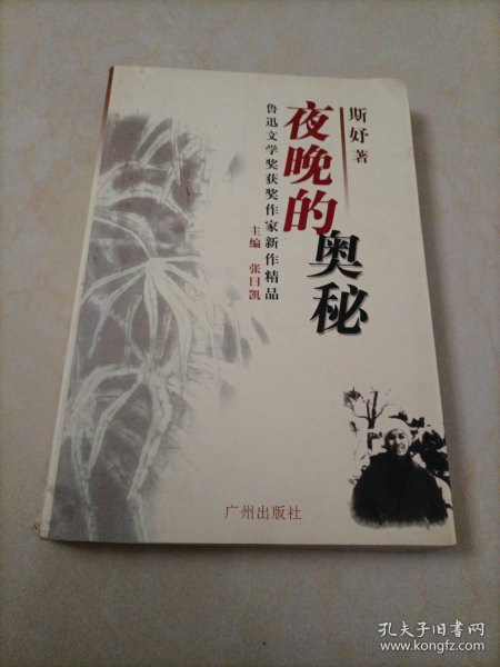 鲁迅文学奖获奖作家新作精品：微尘中的金屑