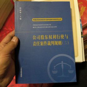 公司股东权利行使与责任案件裁判规则(2)/中国法院类案检索与裁判规则专项研究丛书