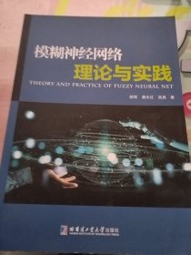 模糊神经网络理论与实践（实物拍照