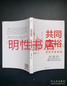 共同富裕专家深度解读