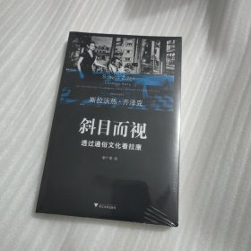 斜目而视：透过通俗文化看拉康