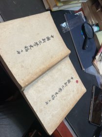 中国新文学史稿 上下