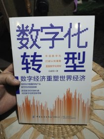 数字化转型：数字经济重塑世界经济 岳建明 中国纺织出版社9787522904757