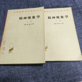 精神现象学（上下）