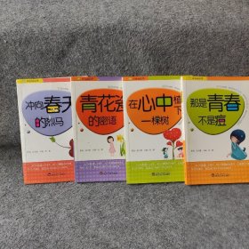 青春阅读季(4册合售)袁毅  主编