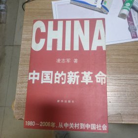 中国的新革命：1980-2006年，从中关村到中国社会