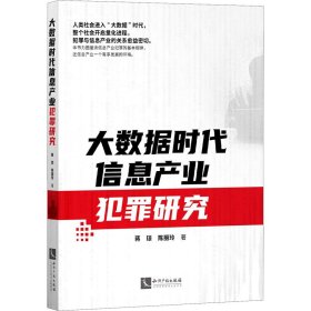 大数据时代信息产业犯罪研究