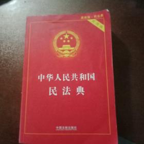 中华人民共和国民法典 2020年6月新版B3(250)