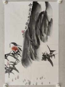 云南名家，武新文《雨后》花鸟画69.5*45.5cm，软片。（保真书画）